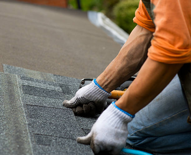 Best Roof Waterproofing Services  in Napoleon, OH